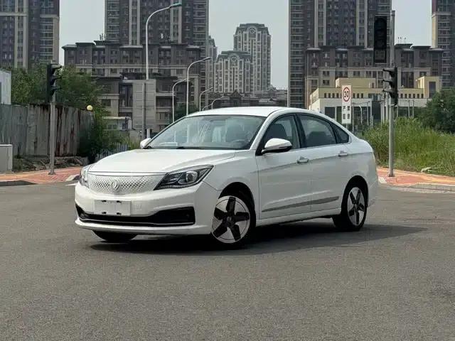 Dongfeng Fengshen E70 2020 500 Super Enjoy Edition