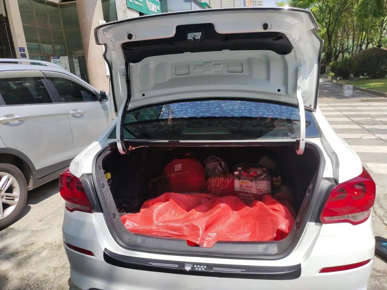 Chevrolet Cavalier 2019 320 Automatic Enjoyment with Sunroof — миниатюра 19