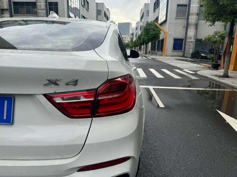 2016 BMW X4 xDrive20i M Sport — миниатюра 13