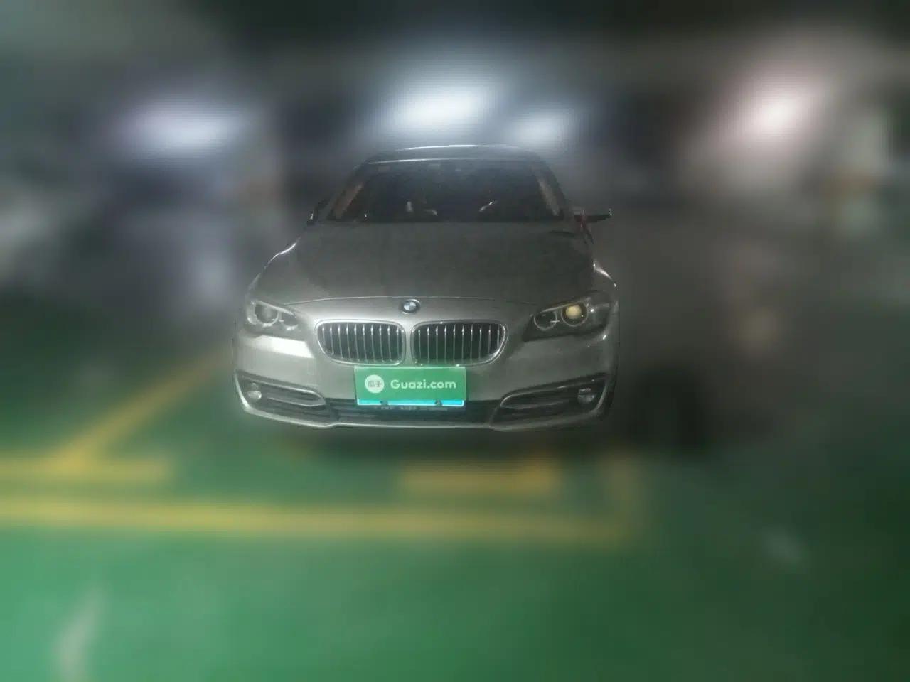 BMW 5 Series 2014 525Li Luxury Design Package — миниатюра 2