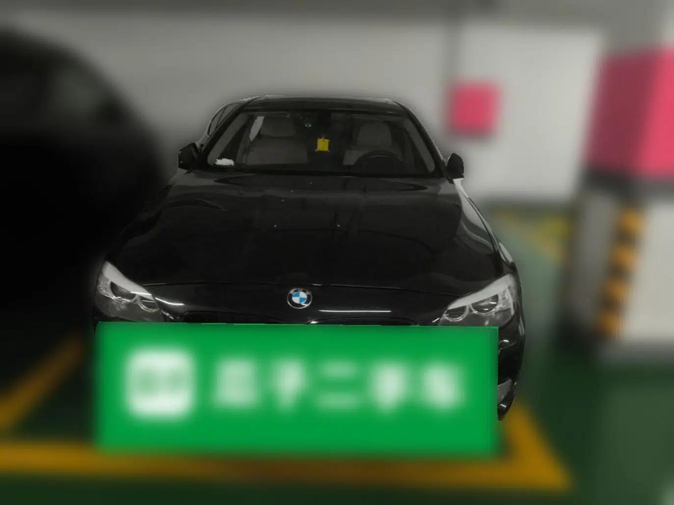 BMW 5 Series 2013 530Li Luxury Model — миниатюра 3