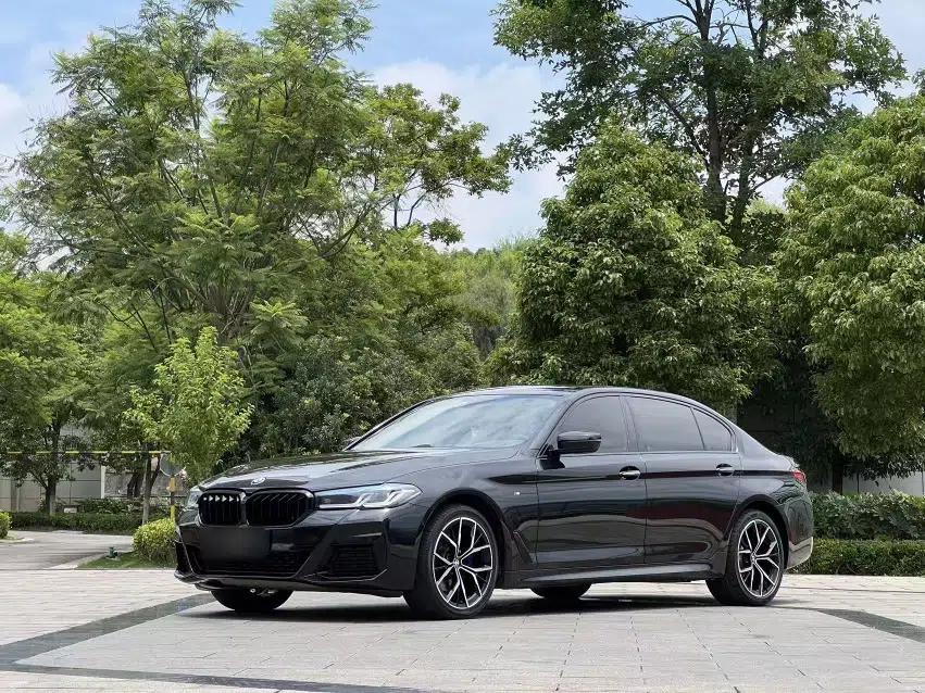 BMW 5 Series 2018 525Li M Sport Package — миниатюра 1