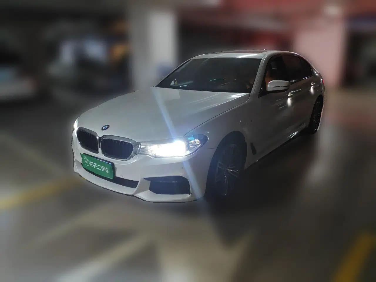 BMW 5 Series 2018 530Li Leading Model M Sport Package — миниатюра 1