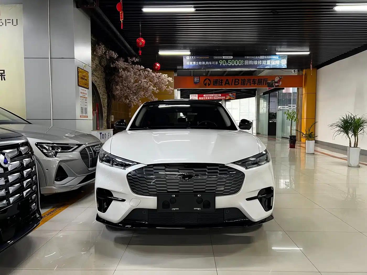 Ford e31 2021 Model X Unlimited Rear-Wheel Drive Luxury Edition Long Range — миниатюра 2