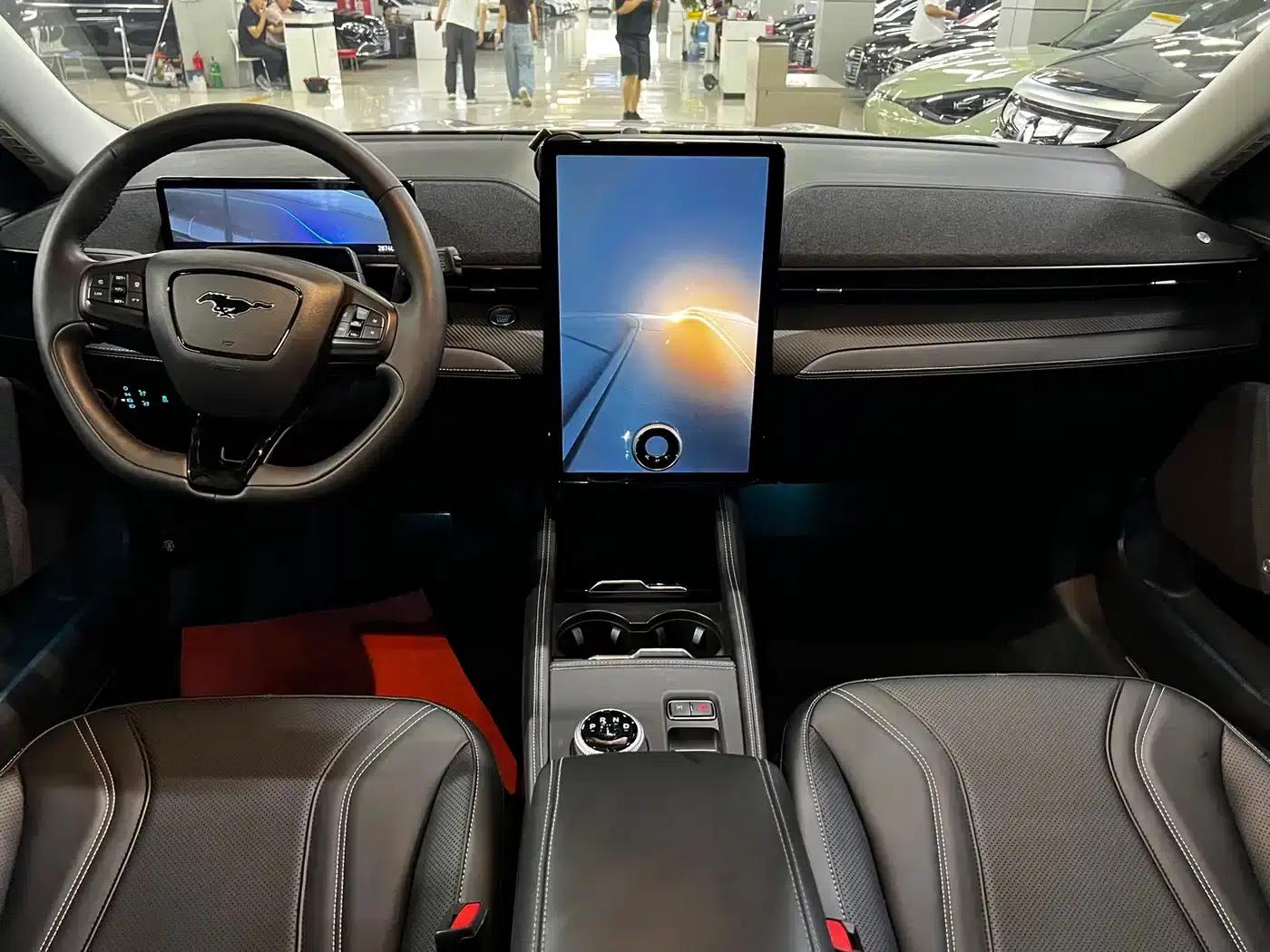 Ford e31 2021 Model X Unlimited Rear-Wheel Drive Luxury Edition Long Range — миниатюра 13