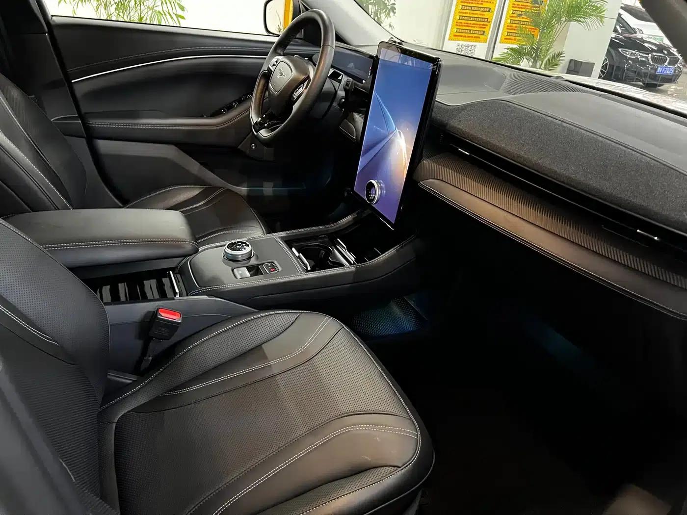 Ford e31 2021 Model X Unlimited Rear-Wheel Drive Luxury Edition Long Range — миниатюра 14