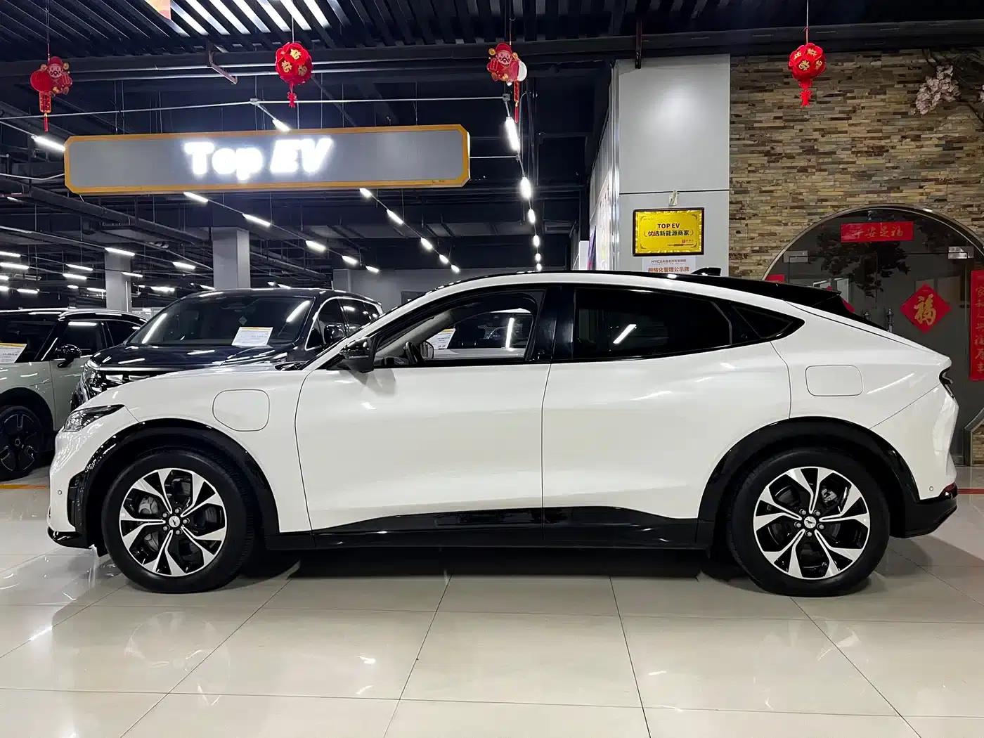 Ford e31 2021 Model X Unlimited Rear-Wheel Drive Luxury Edition Long Range — миниатюра 3