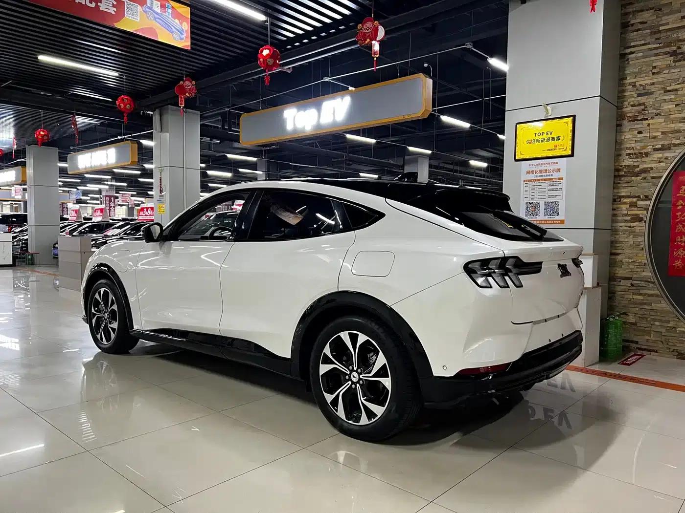 Ford e31 2021 Model X Unlimited Rear-Wheel Drive Luxury Edition Long Range — миниатюра 4
