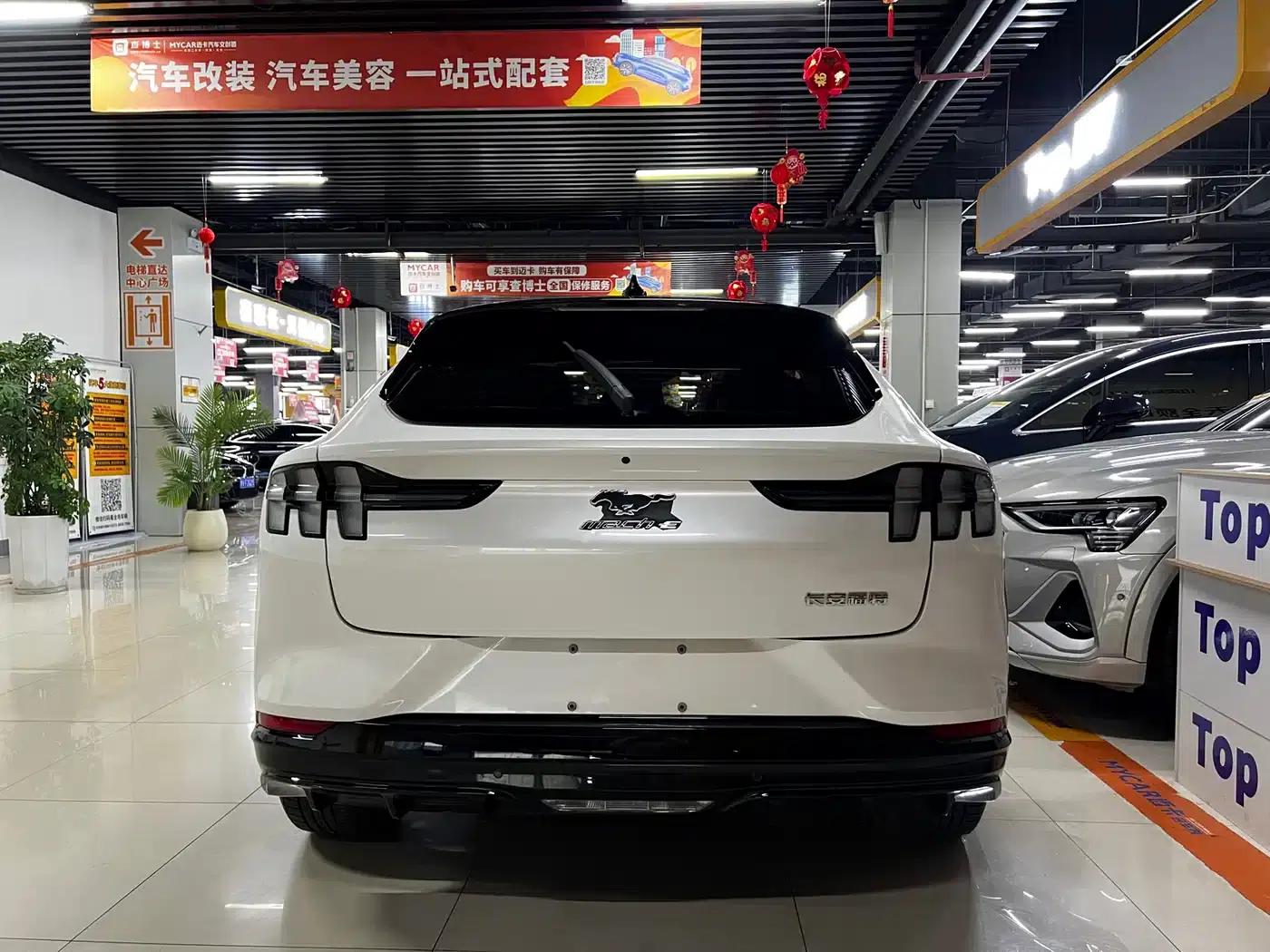 Ford e31 2021 Model X Unlimited Rear-Wheel Drive Luxury Edition Long Range — миниатюра 5