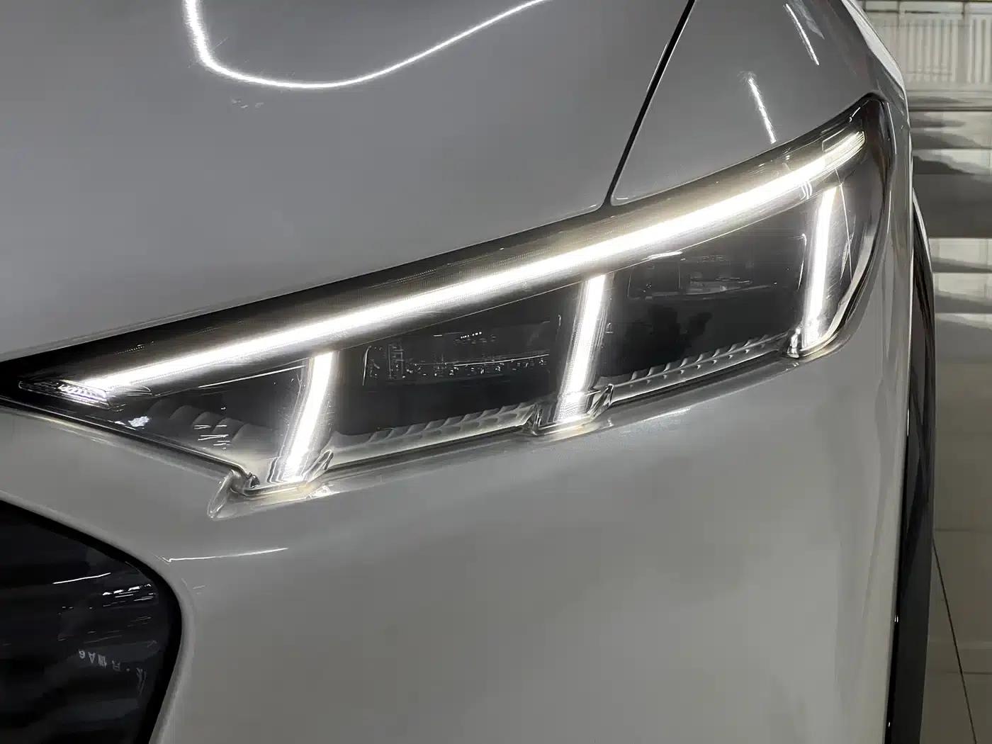 Ford e31 2021 Model X Unlimited Rear-Wheel Drive Luxury Edition Long Range — миниатюра 6