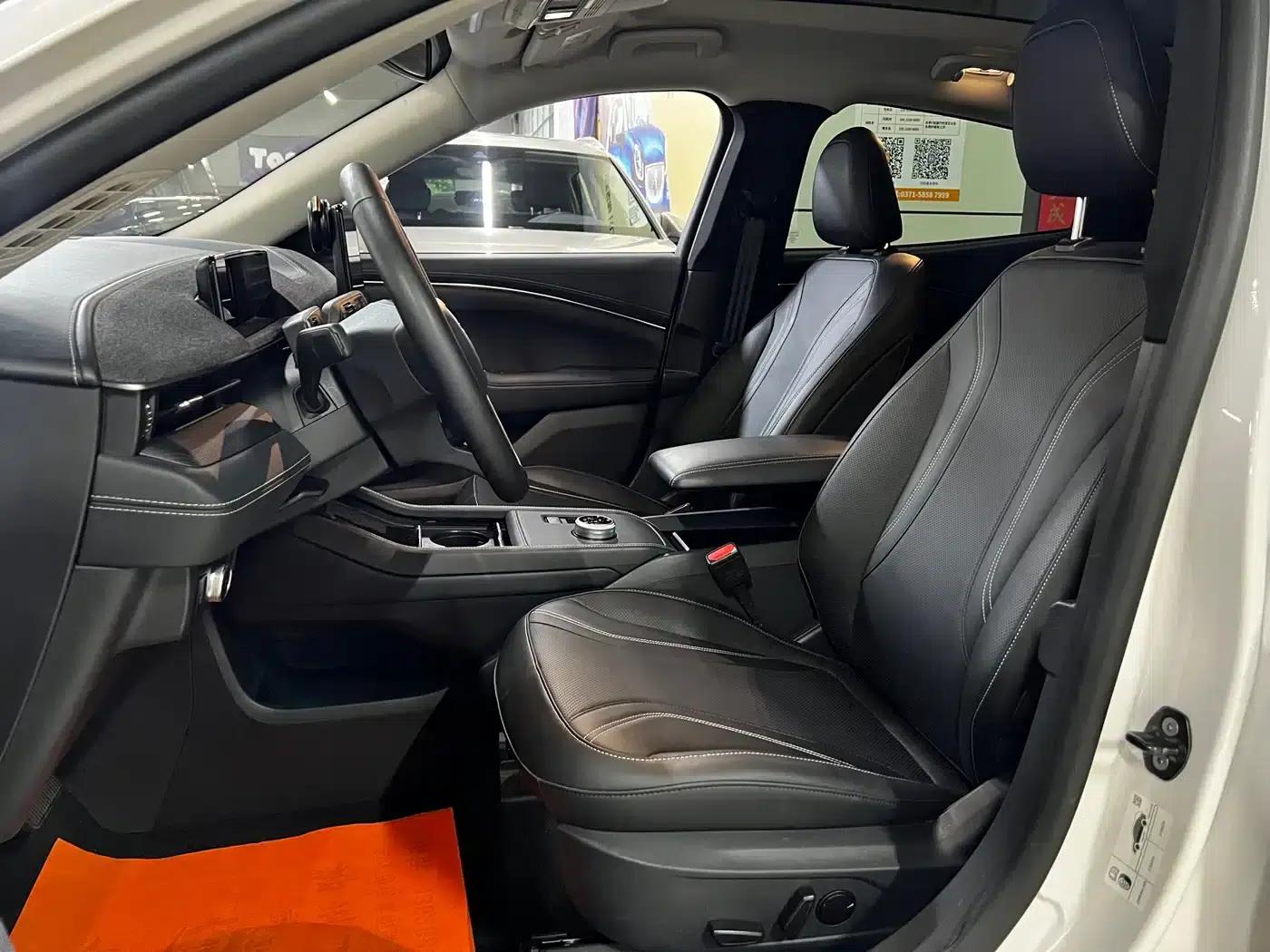 Ford e31 2021 Model X Unlimited Rear-Wheel Drive Luxury Edition Long Range — миниатюра 8