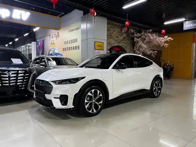 Ford e31 2021 Model X Unlimited Rear-Wheel Drive Luxury Edition Long Range