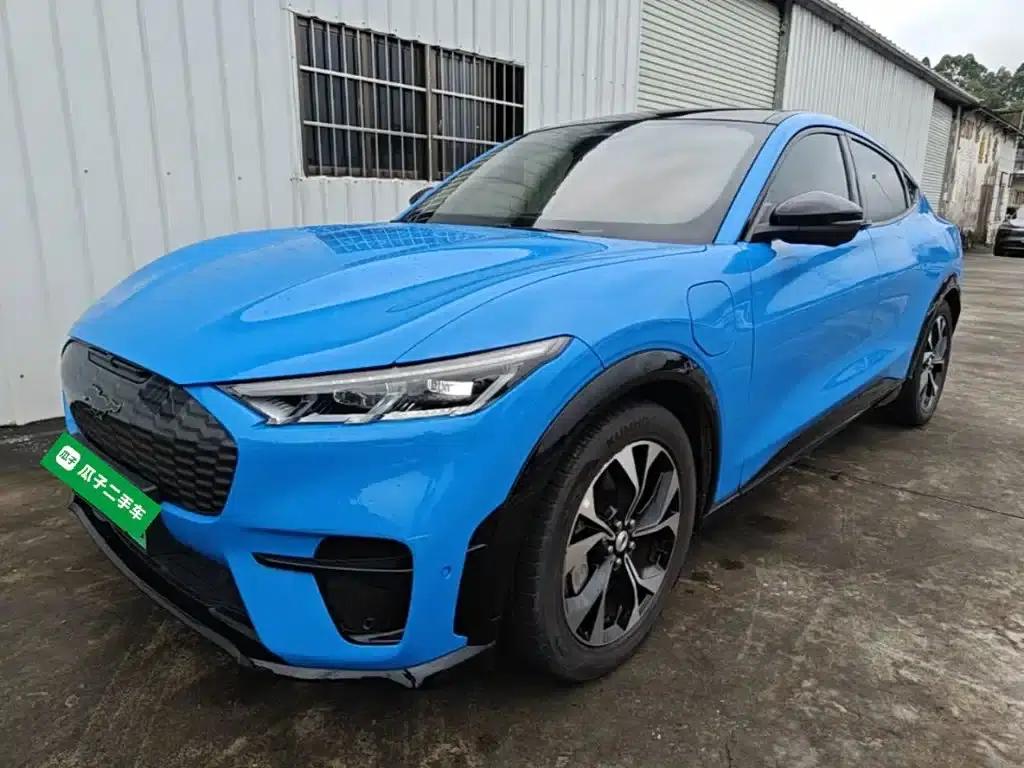 Ford e31 2021 Model X Unlimited Rear-Wheel Drive Luxury Edition Long Range — миниатюра 2
