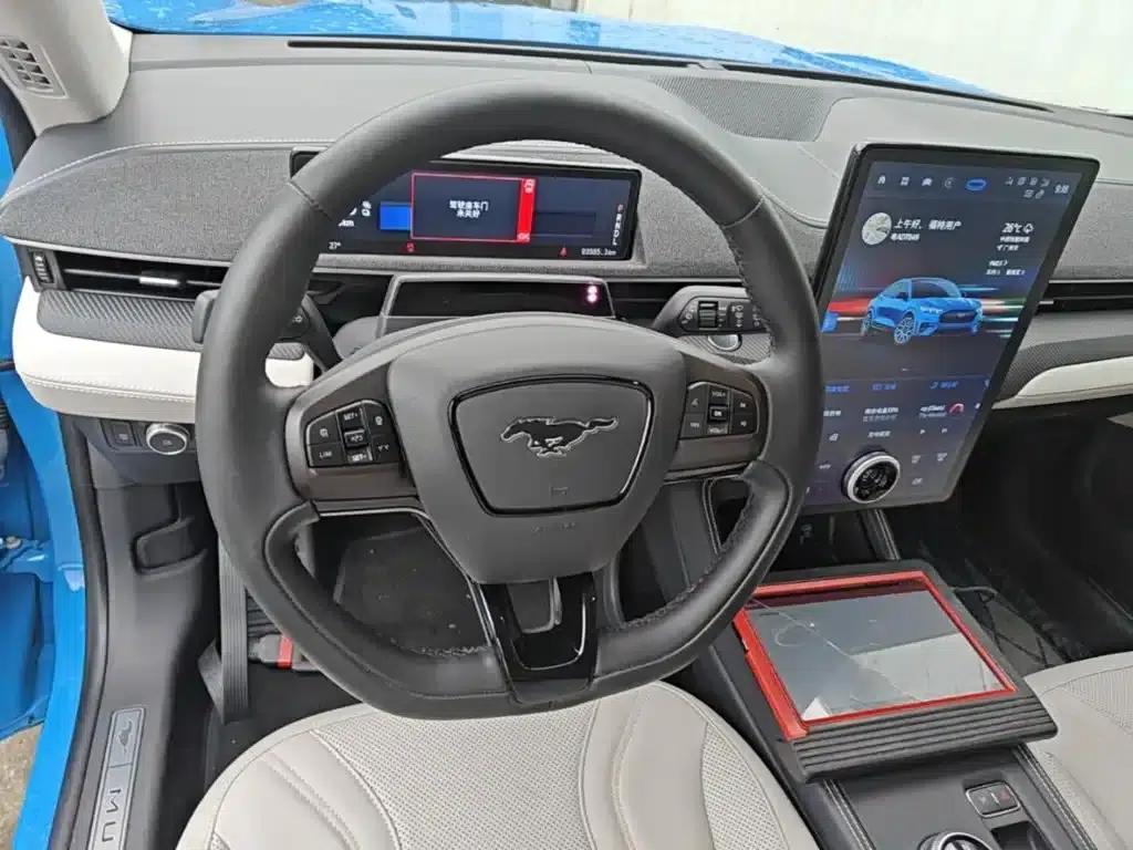Ford e31 2021 Model X Unlimited Rear-Wheel Drive Luxury Edition Long Range — миниатюра 11