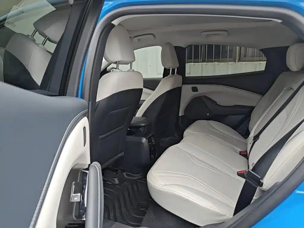 Ford e31 2021 Model X Unlimited Rear-Wheel Drive Luxury Edition Long Range — миниатюра 17