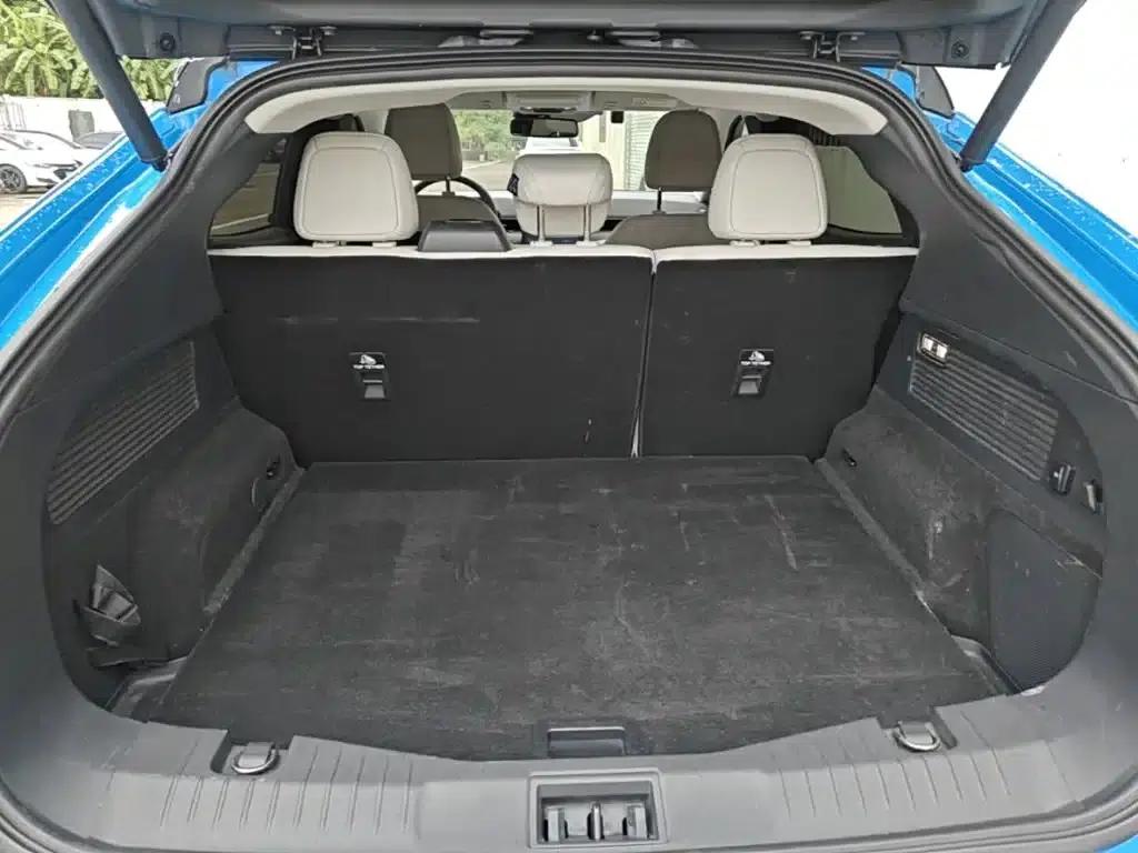 Ford e31 2021 Model X Unlimited Rear-Wheel Drive Luxury Edition Long Range — миниатюра 19