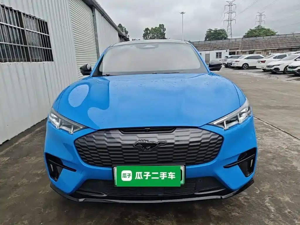 Ford e31 2021 Model X Unlimited Rear-Wheel Drive Luxury Edition Long Range — миниатюра 3
