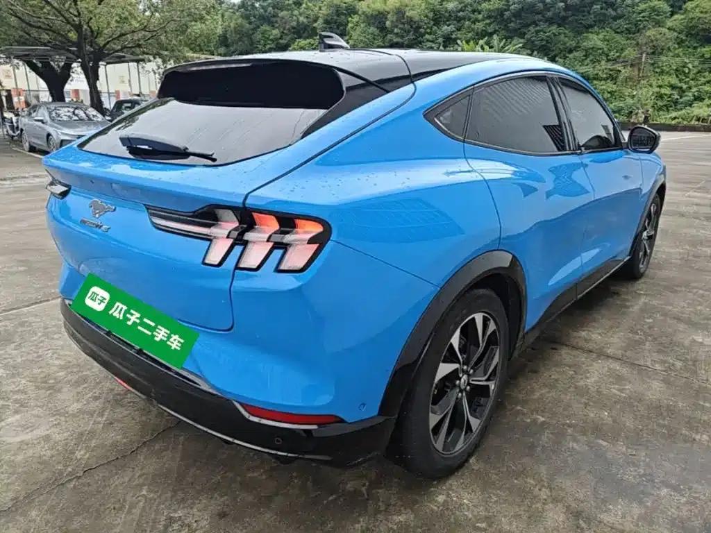 Ford e31 2021 Model X Unlimited Rear-Wheel Drive Luxury Edition Long Range — миниатюра 7