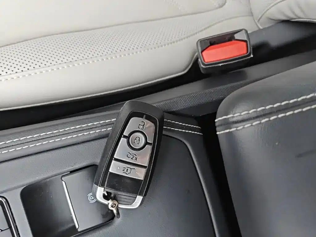 Ford e31 2021 Model X Unlimited Rear-Wheel Drive Luxury Edition Long Range — миниатюра 9