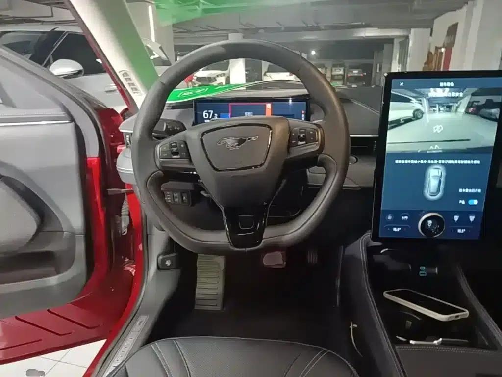 Ford e31 2021 Model X Unlimited Rear-Wheel Drive Luxury Edition Long Range — миниатюра 11