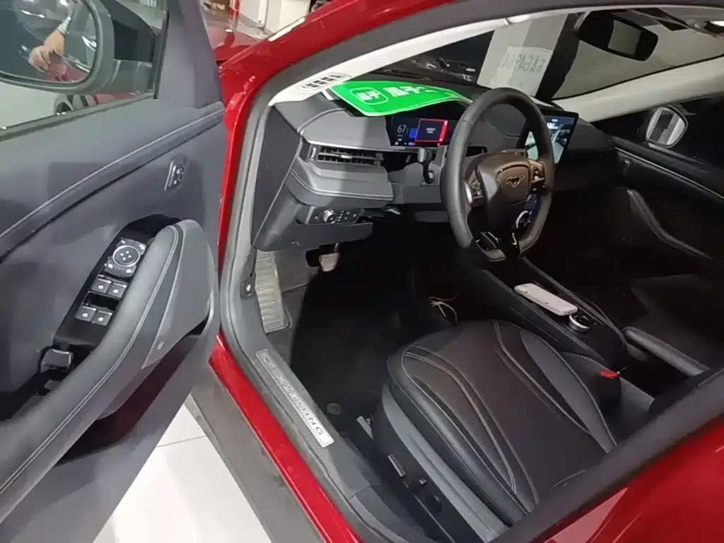 Ford e31 2021 Model X Unlimited Rear-Wheel Drive Luxury Edition Long Range — миниатюра 16
