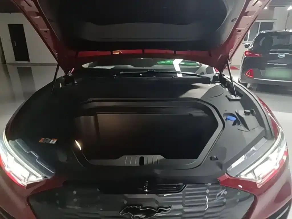 Ford e31 2021 Model X Unlimited Rear-Wheel Drive Luxury Edition Long Range — миниатюра 20