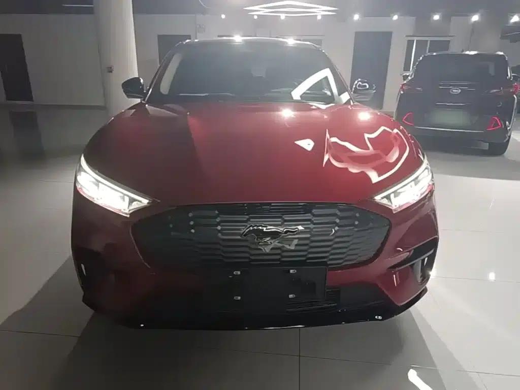 Ford e31 2021 Model X Unlimited Rear-Wheel Drive Luxury Edition Long Range — миниатюра 3