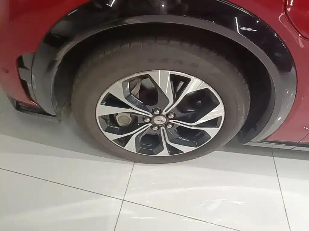 Ford e31 2021 Model X Unlimited Rear-Wheel Drive Luxury Edition Long Range — миниатюра 23