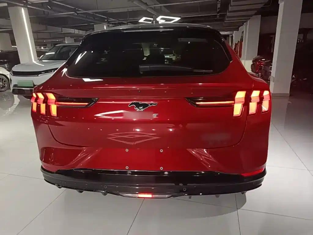 Ford e31 2021 Model X Unlimited Rear-Wheel Drive Luxury Edition Long Range — миниатюра 6