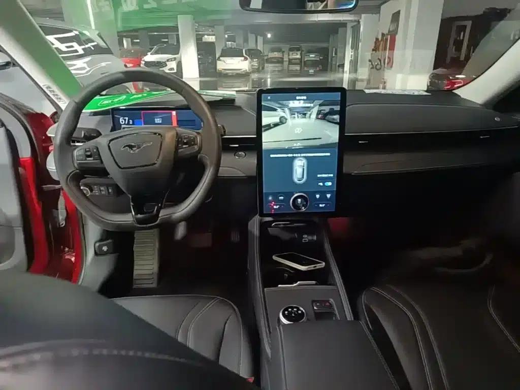 Ford e31 2021 Model X Unlimited Rear-Wheel Drive Luxury Edition Long Range — миниатюра 10