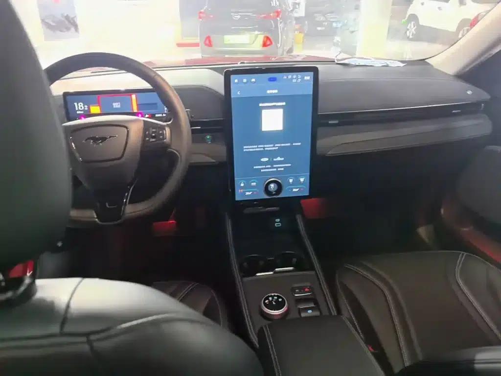 Ford eCar 2021 Model X Unlimited Rear-Wheel Drive Luxury Edition (Long Range) — миниатюра 10