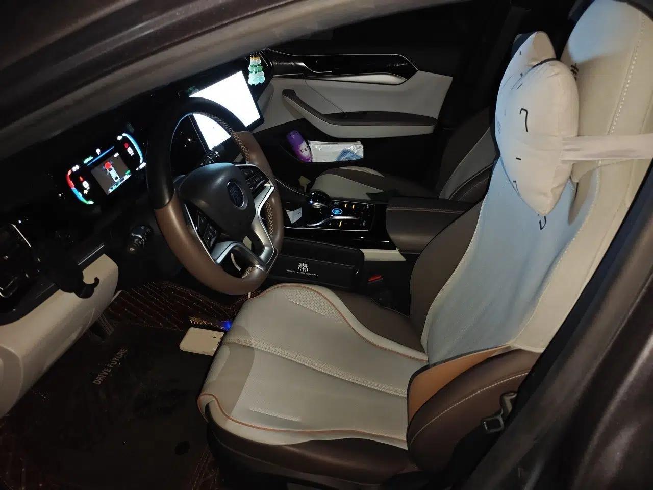 BYD Qin PLUS 2023 Champion Edition EV 510KM Leading Model — миниатюра 15
