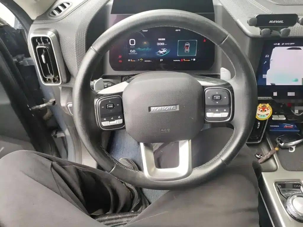 Haval Big Dog 2022 1.5T DCT 2WD Labrador Edition — миниатюра 3