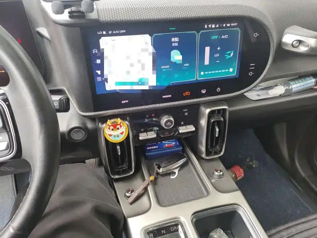 Haval Big Dog 2022 1.5T DCT 2WD Labrador Edition — миниатюра 6