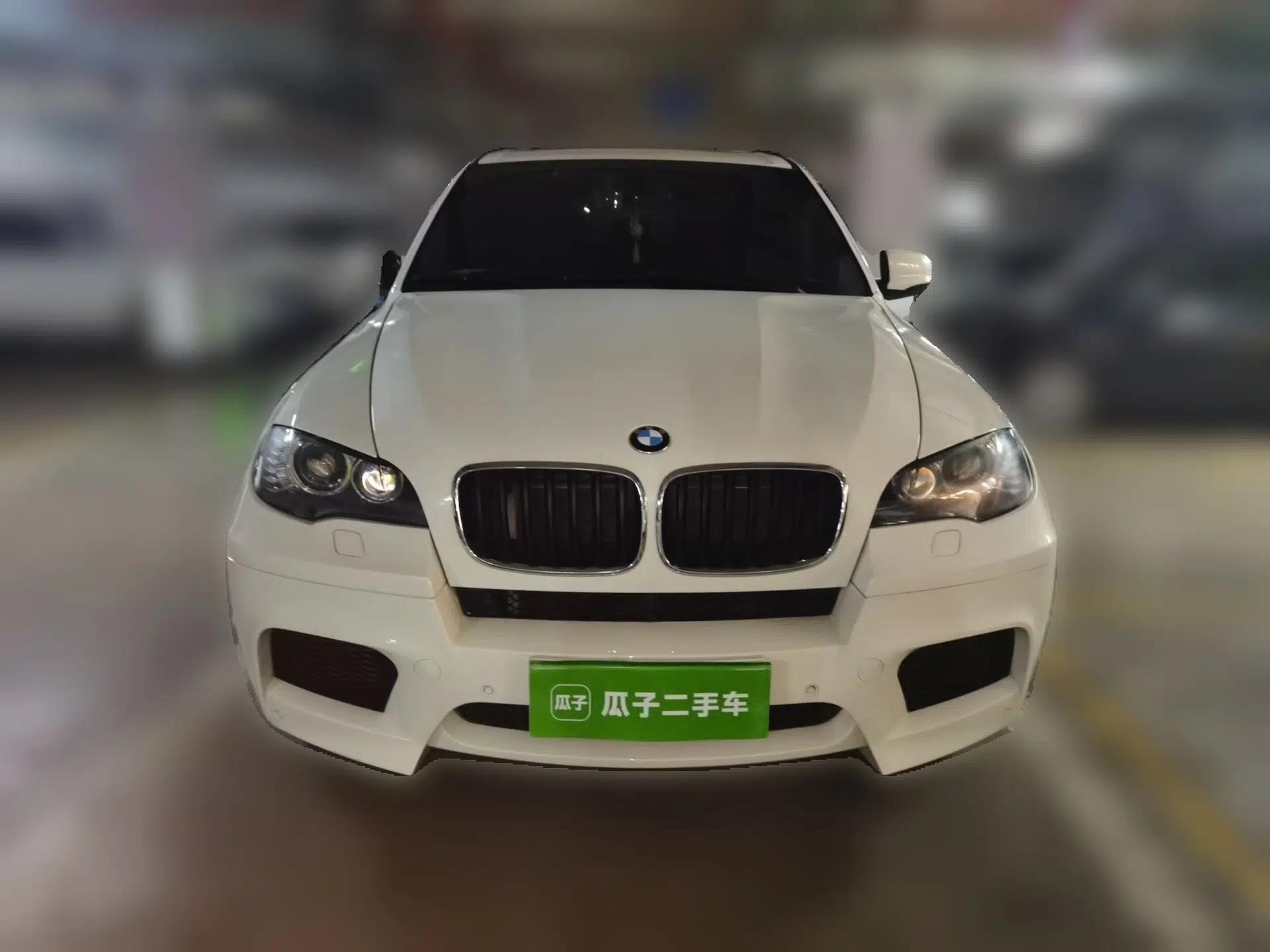BMW X5 2010 X5 M — миниатюра 2