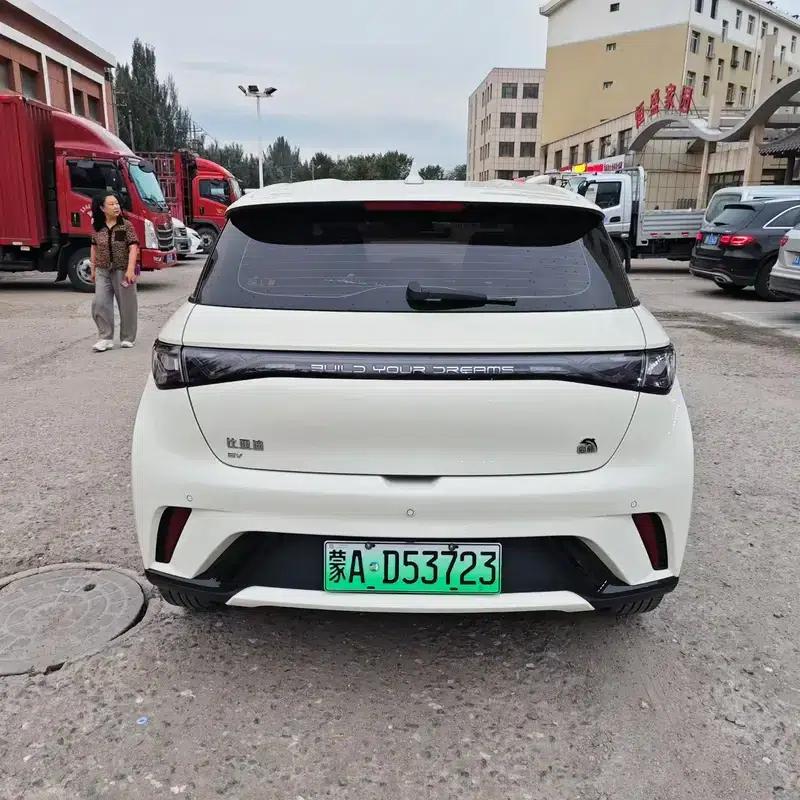 Dolphin 2023 Freedom Edition — миниатюра 5