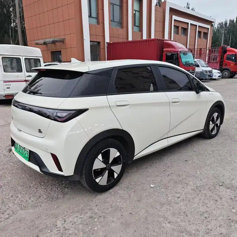 Dolphin 2023 Freedom Edition — миниатюра 6