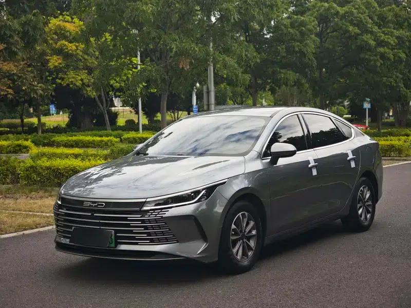 Destroyer 05 2024 Glory Edition DM-i 55KM Luxury Model — миниатюра 1