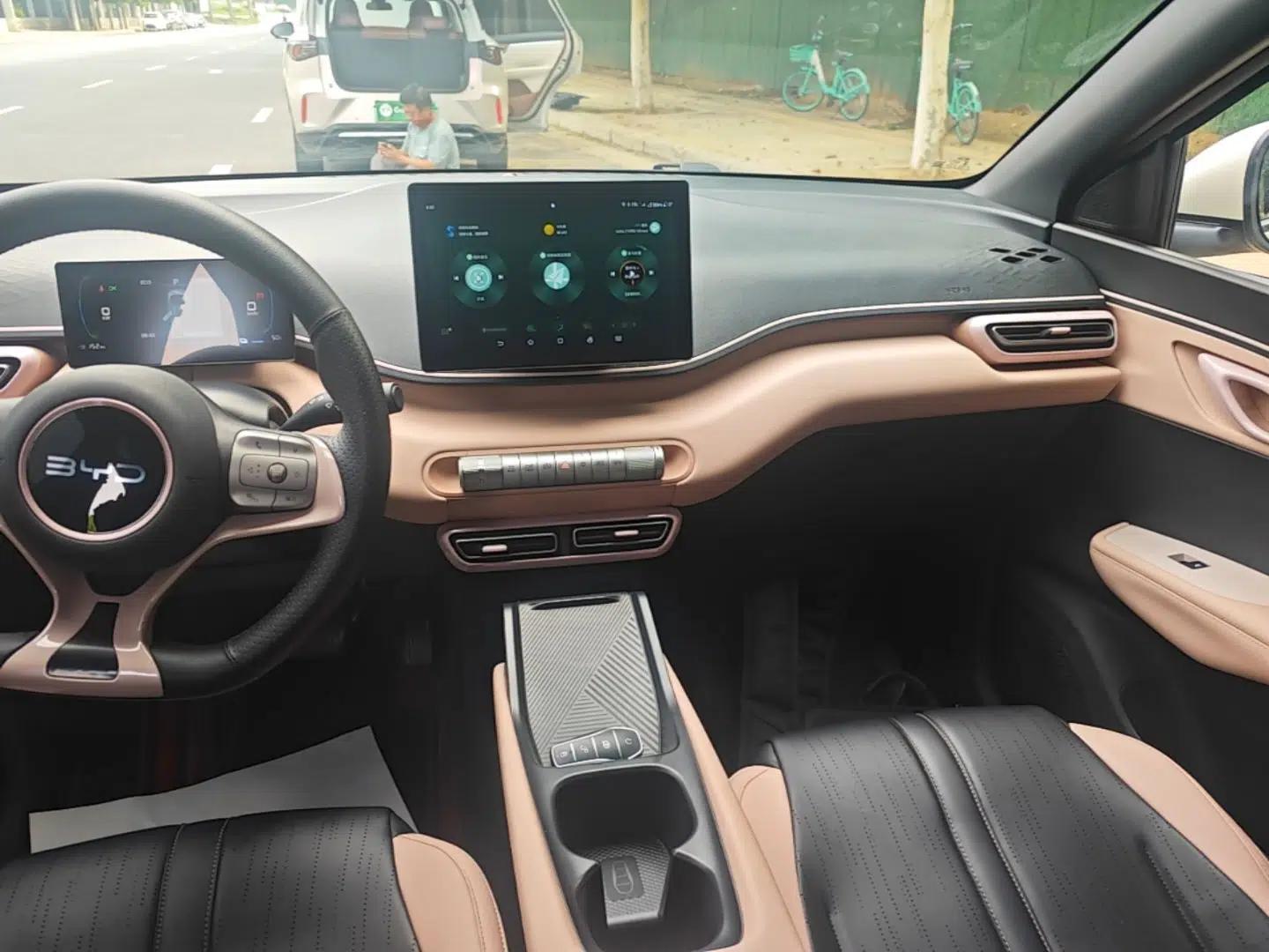 BYD Seagull 2025 305km Active Version — миниатюра 15