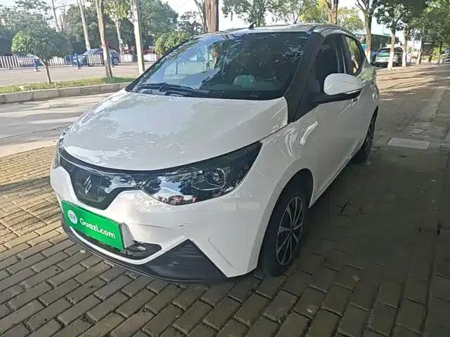 Yizhi EV2 2024 Model 201km Comfort