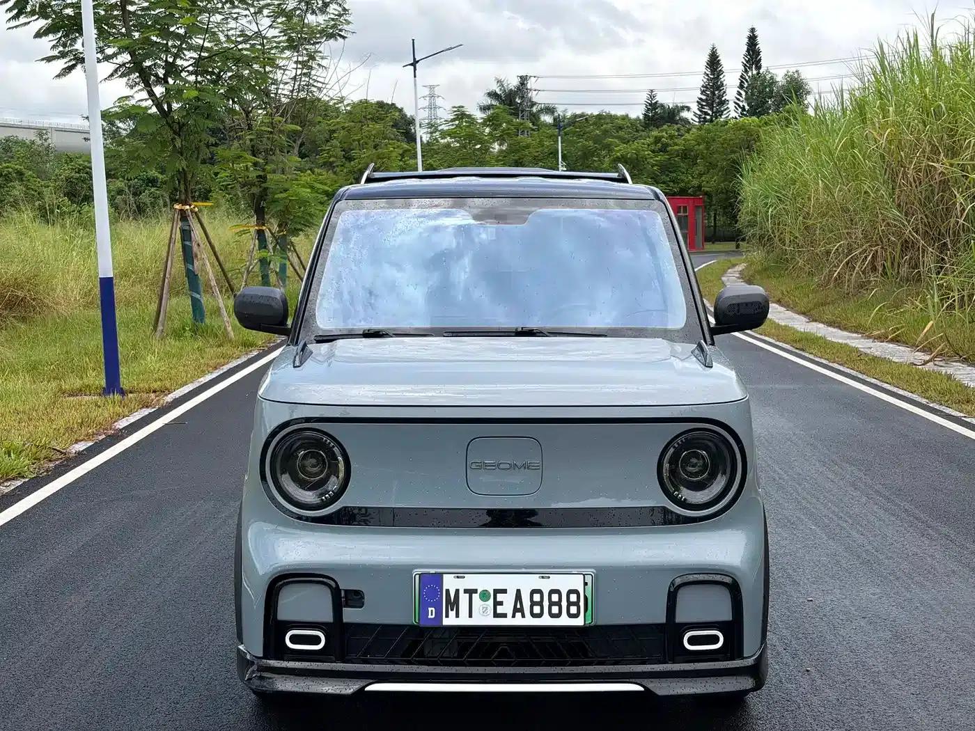 Panda 2025 Model 210km Panda Gokart — миниатюра 2