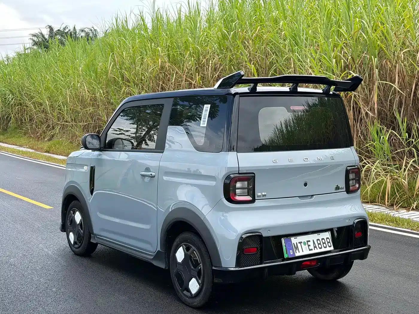 Panda 2025 Model 210km Panda Gokart — миниатюра 9