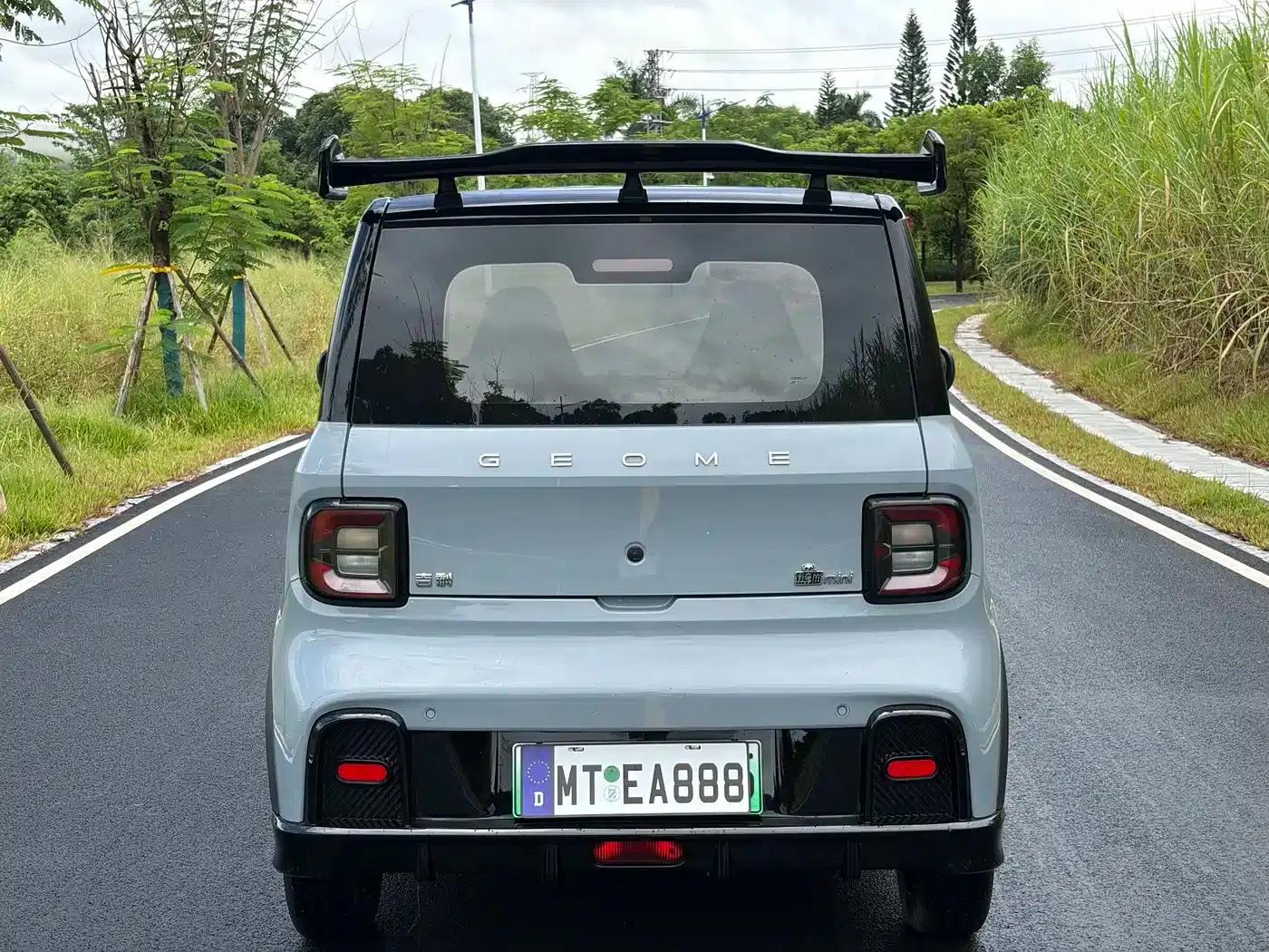 Panda 2025 Model 210km Panda Gokart — миниатюра 10