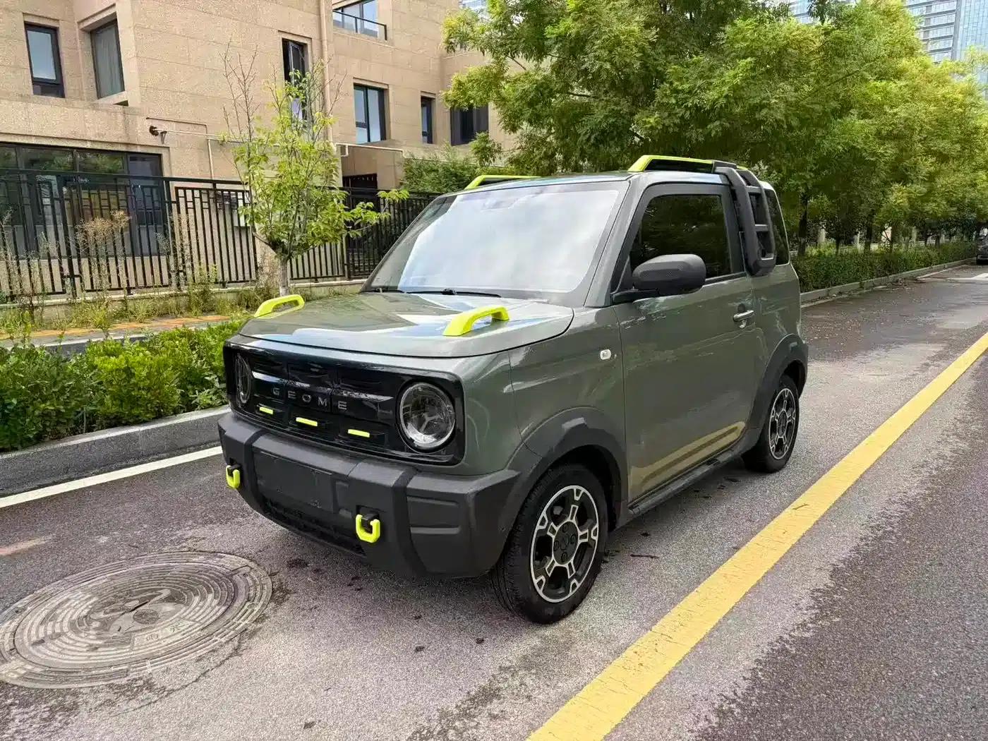 Panda 2024 Model 200km Panda Rider — миниатюра 1