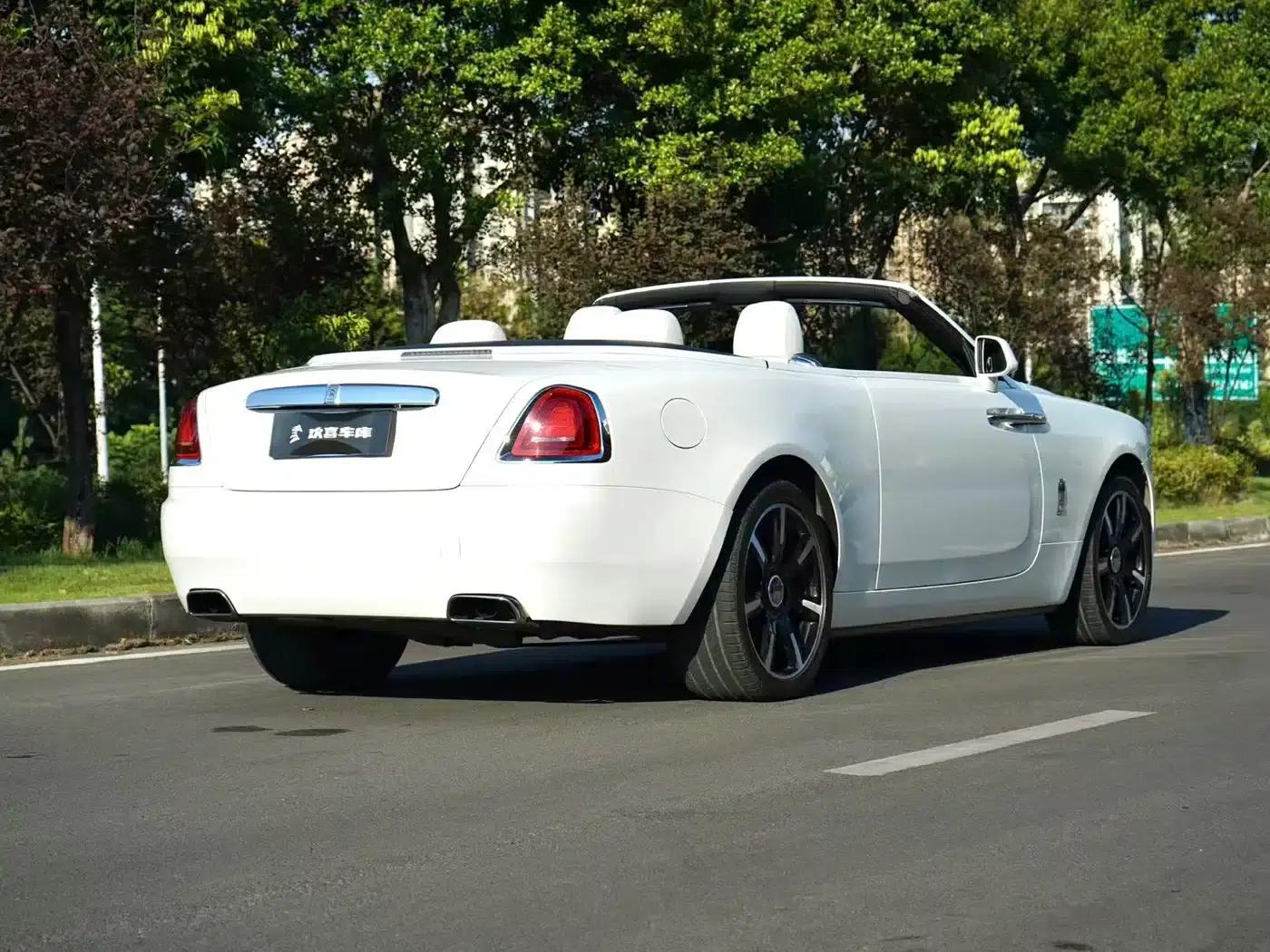 2015 Dawn 6.6T Standard Edition — миниатюра 5