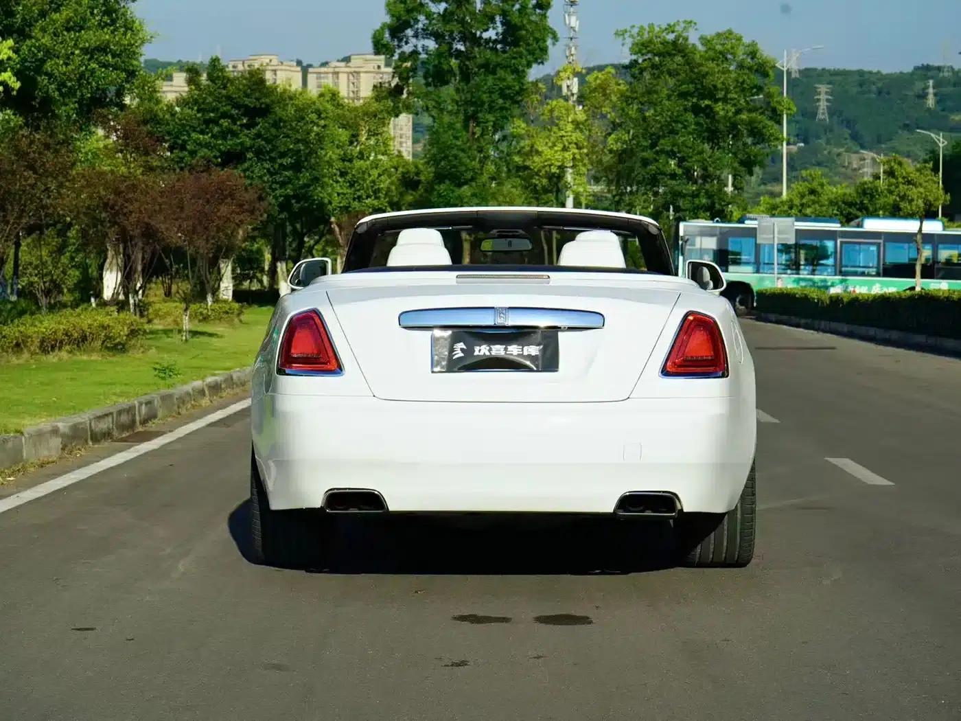 2015 Dawn 6.6T Standard Edition — миниатюра 6