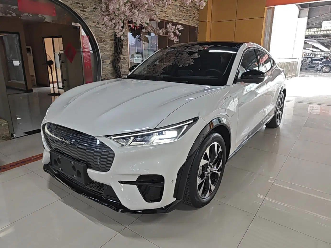 Ford Mustang Mach-E 2021 AION Y Plus Rear-Drive Luxury Edition (Long Range) — миниатюра 1