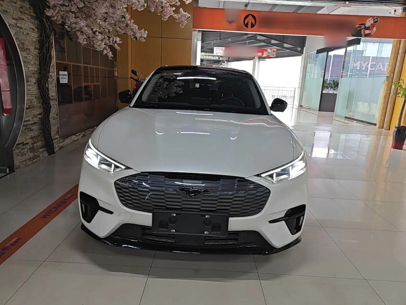 Ford Mustang Mach-E 2021 AION Y Plus Rear-Drive Luxury Edition (Long Range) — миниатюра 2