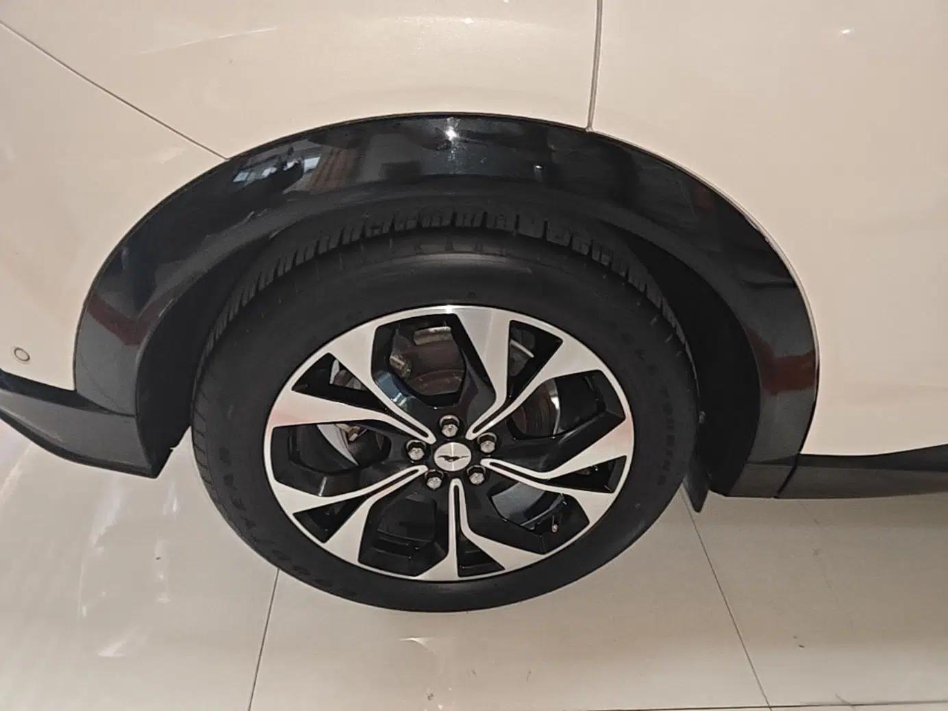 Ford Mustang Mach-E 2021 AION Y Plus Rear-Drive Luxury Edition (Long Range) — миниатюра 11
