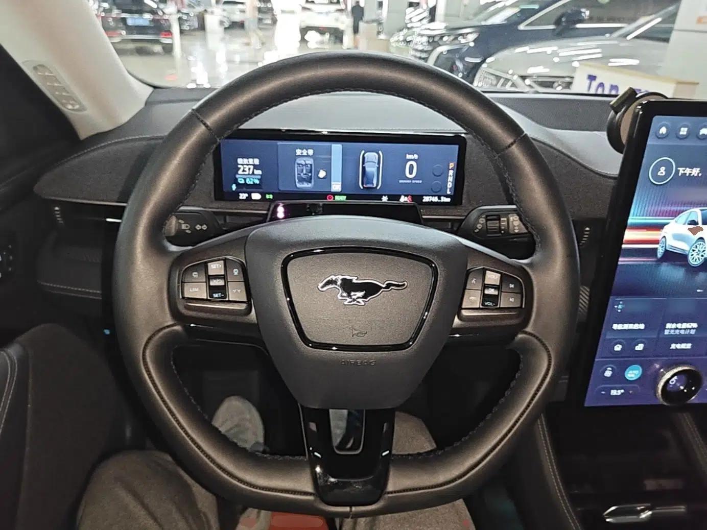 Ford Mustang Mach-E 2021 AION Y Plus Rear-Drive Luxury Edition (Long Range) — миниатюра 13